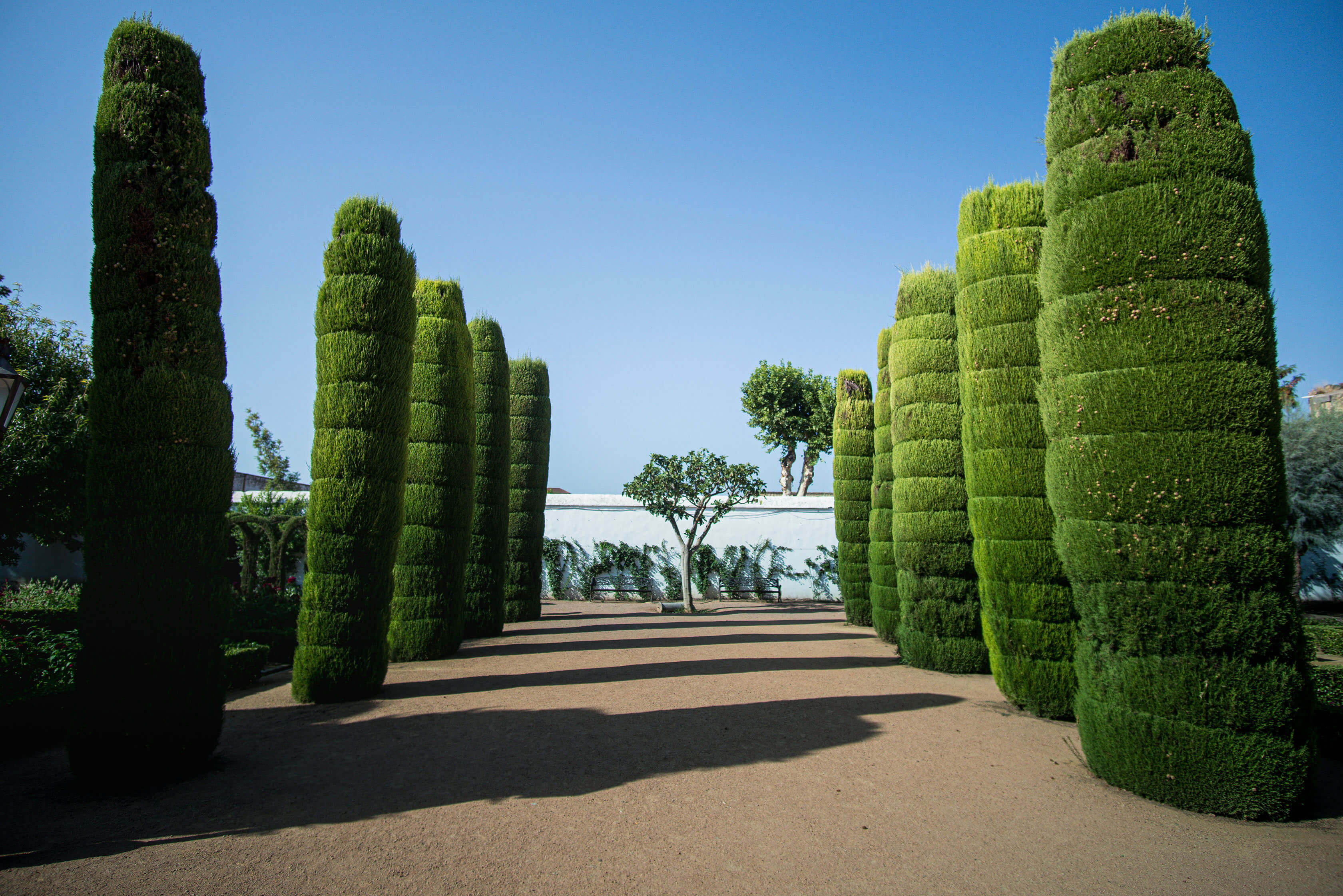 Themed Gardens & Special Areas